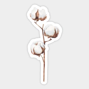 Cotton branch illustration Sticker